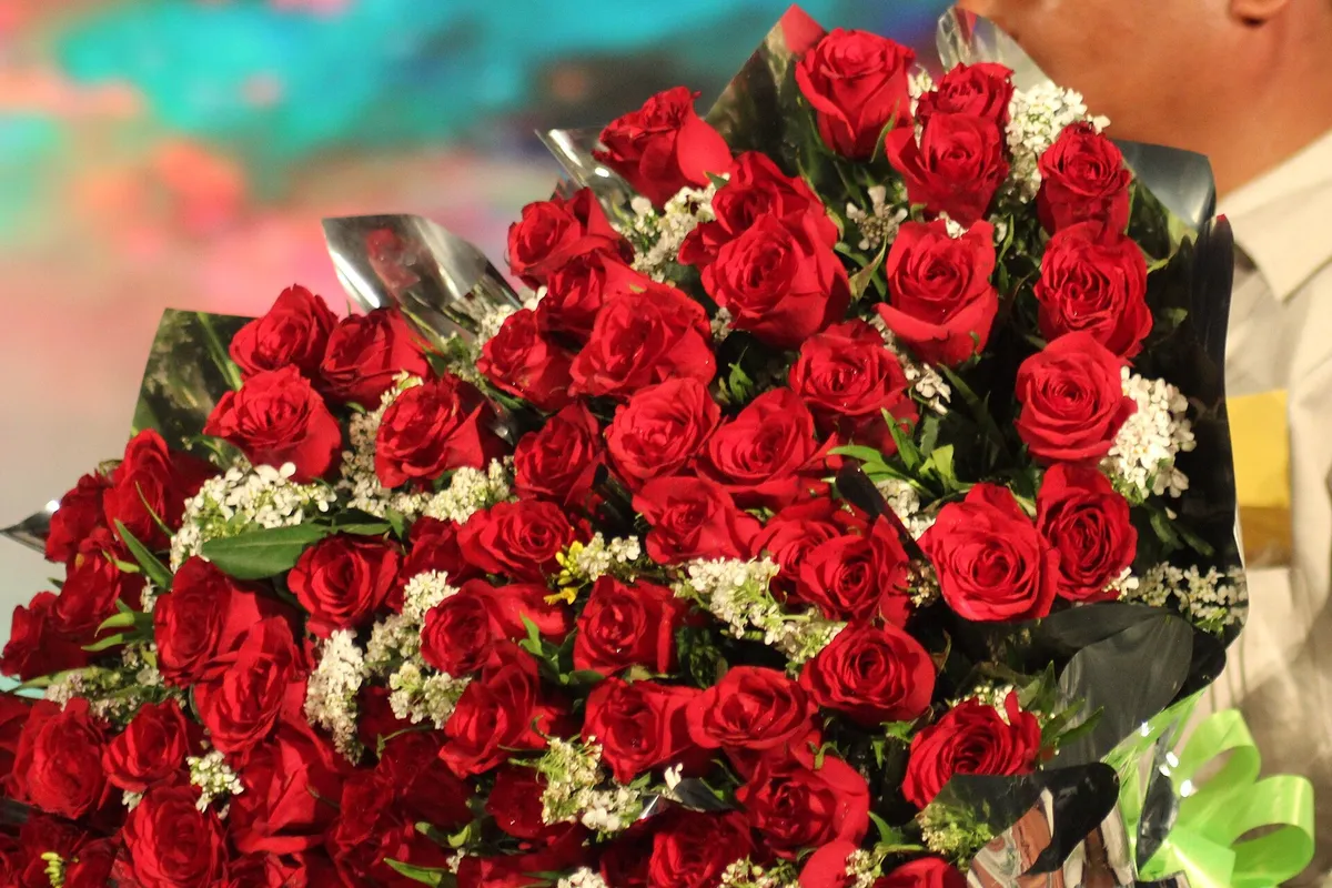Grande buquê de rosas vermelhas com flores brancas pequenas, segurado por uma pessoa