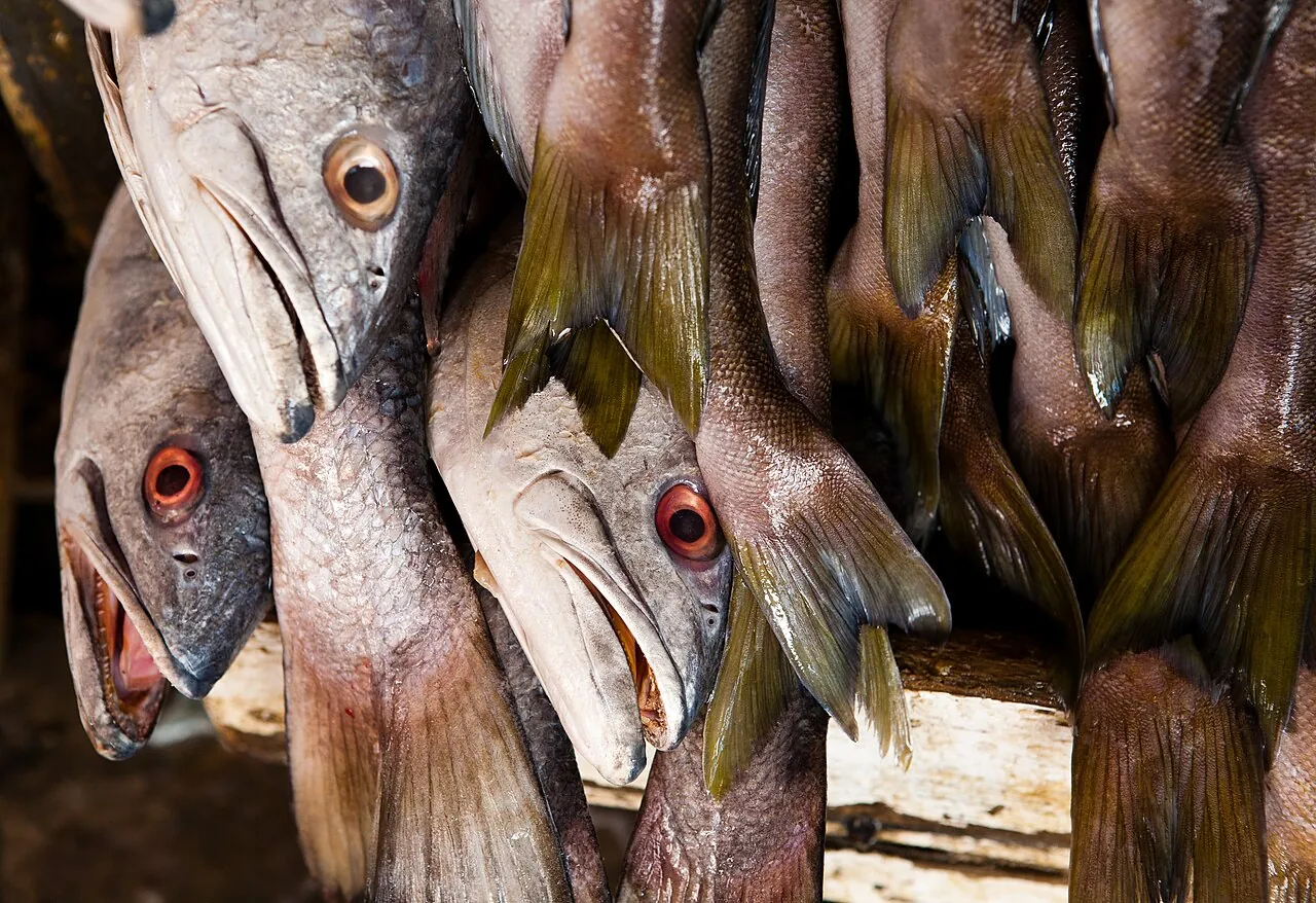 Puestos de pescados y mariscos en el mercado de Ensenada, Baja California