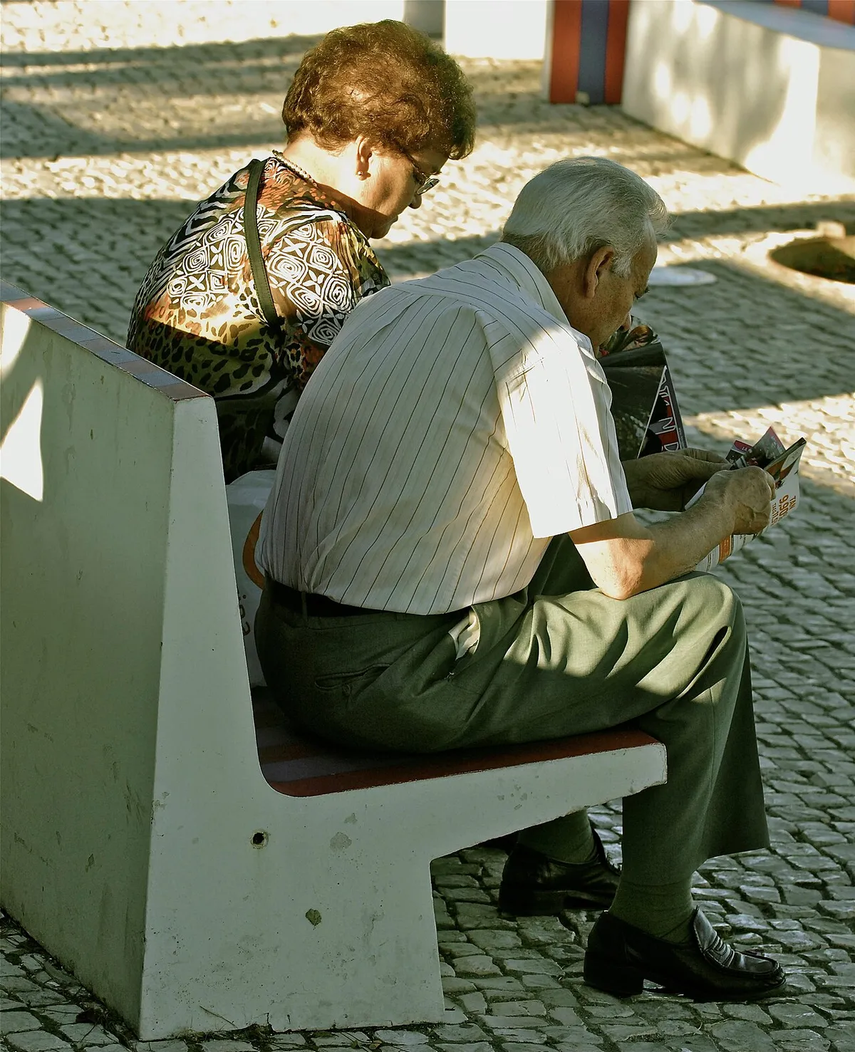 Pareja mayor sentada leyendo junta en un parque